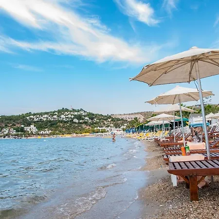 Blue Bay (adults Only) 3*