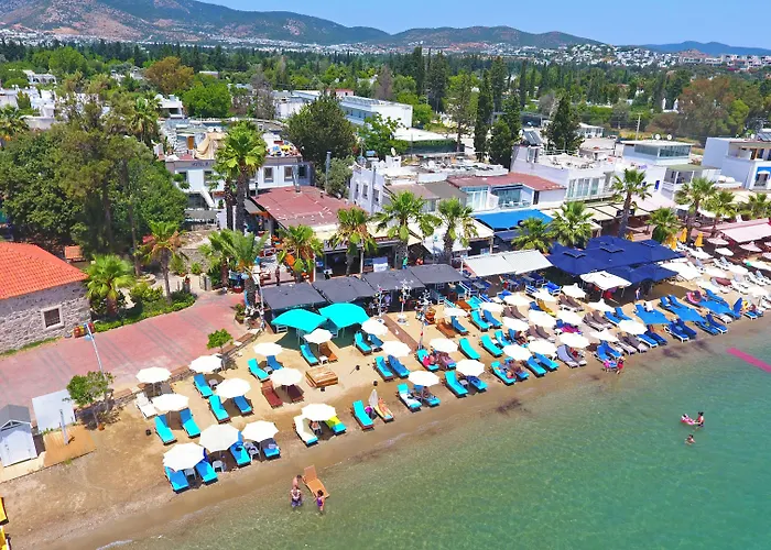 Blue Bay (adults Only) 比特兹